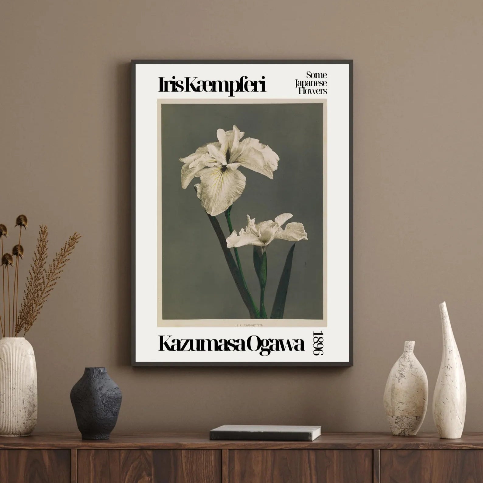 Kazumasa Ogawa - Iris White