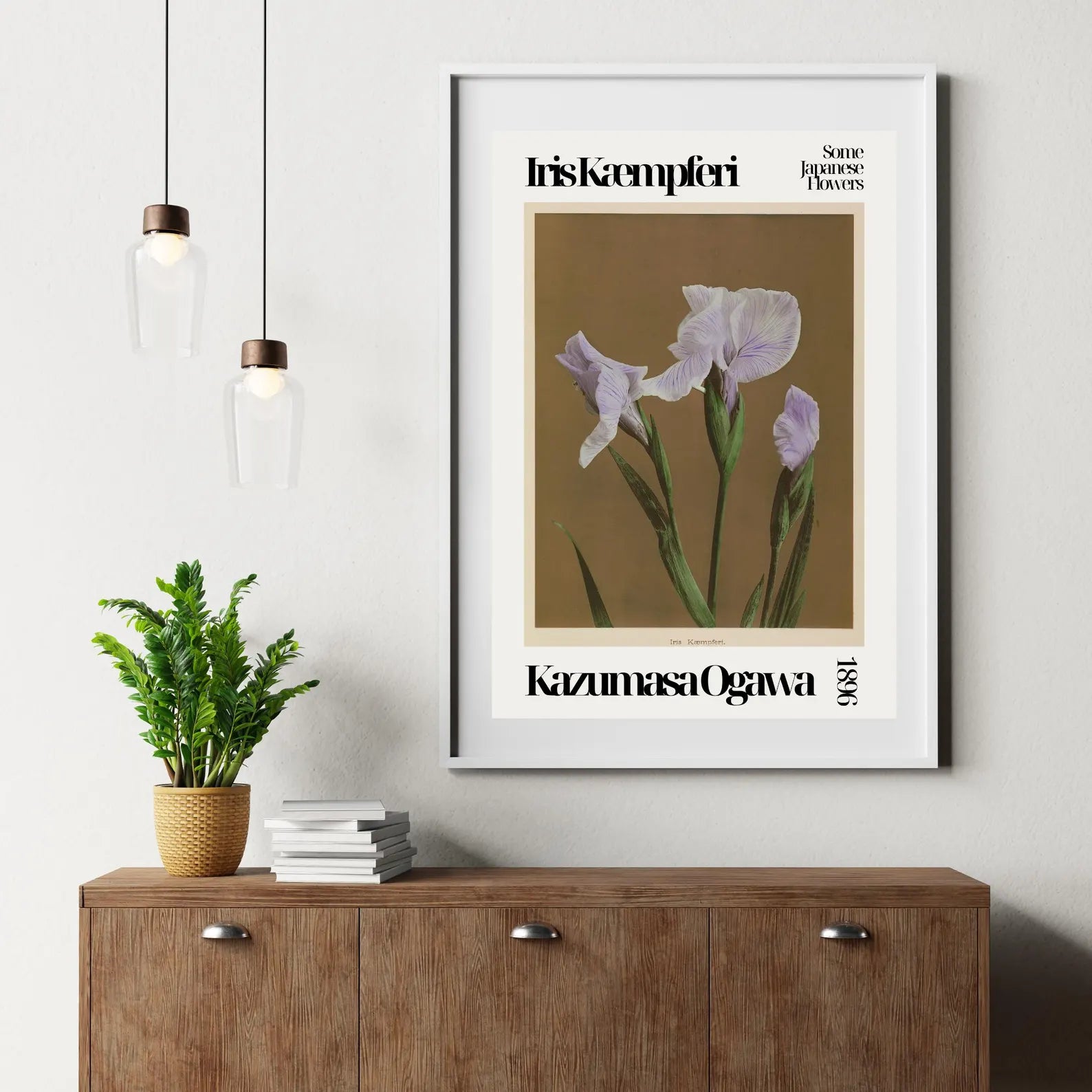 Kazumasa Ogawa - Iris Lilac
