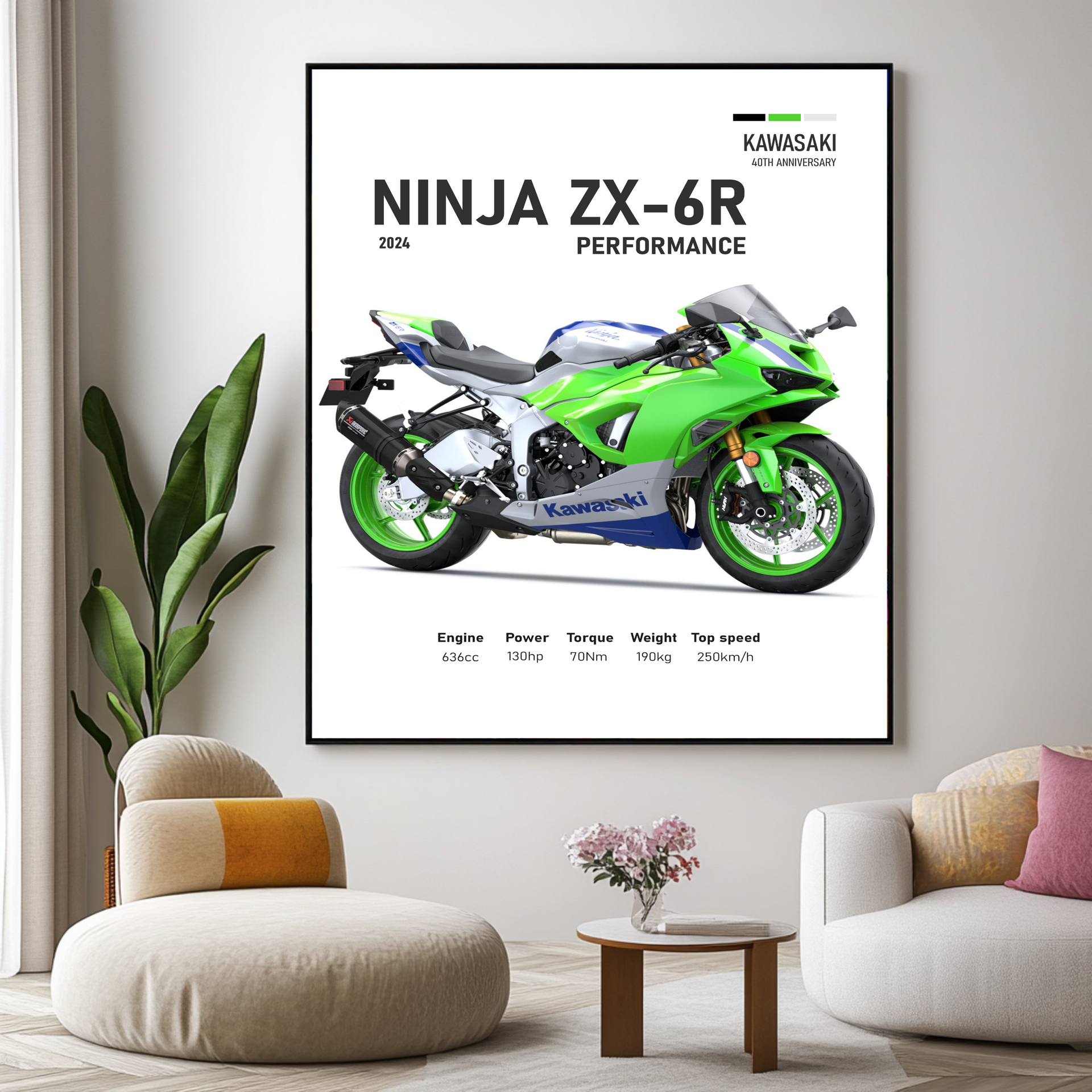 Quadro Kawasaki Ninja ZX-6R - Neibac - Spedizione gratuita