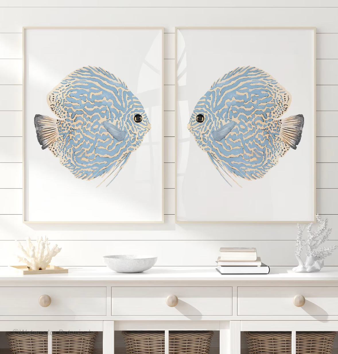 SET 2 PEZZI Pesci in Simbiosi